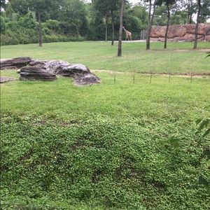 Meet your Posher, Paulette